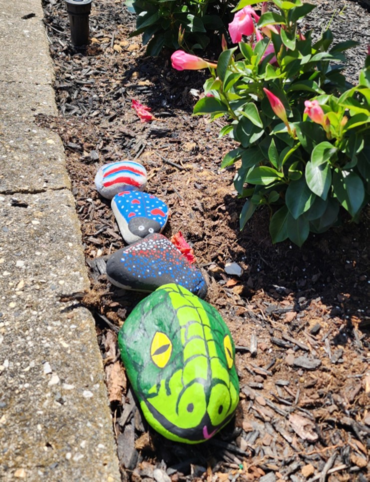 GARDEN ROCK PAINTING @ MARIE FLECHE MEMORIAL LIBRARY